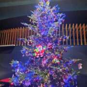 ヒメ日記 2024/12/24 13:46 投稿 もな 新潟市鳥屋野潟ちゃんこ