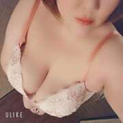 ヒメ日記 2025/02/19 17:31 投稿 もな 新潟市鳥屋野潟ちゃんこ