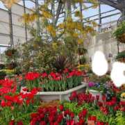 ヒメ日記 2025/03/10 20:26 投稿 もな 新潟市鳥屋野潟ちゃんこ