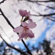 ヒメ日記 2025/04/06 22:06 投稿 もな 新潟市鳥屋野潟ちゃんこ