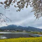 ヒメ日記 2025/04/13 12:36 投稿 もな 新潟市鳥屋野潟ちゃんこ