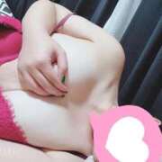 ヒメ日記 2025/12/15 08:30 投稿 杏(きょう) 新潟市鳥屋野潟ちゃんこ