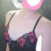 杏(きょう) またまた雪🤔 新潟市鳥屋野潟ちゃんこ