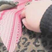 ヒメ日記 2024/12/16 07:16 投稿 まこ 新潟市鳥屋野潟ちゃんこ