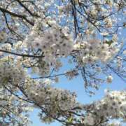 ヒメ日記 2025/04/17 15:46 投稿 まこ 新潟市鳥屋野潟ちゃんこ