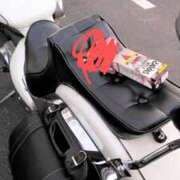 ヒメ日記 2025/04/19 20:56 投稿 まこ 新潟市鳥屋野潟ちゃんこ