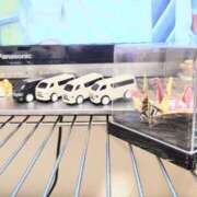 ヒメ日記 2025/04/28 18:46 投稿 まこ 新潟市鳥屋野潟ちゃんこ