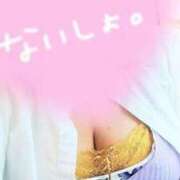 ヒメ日記 2025/04/30 07:16 投稿 まこ 新潟市鳥屋野潟ちゃんこ