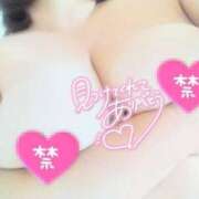 ヒメ日記 2025/05/01 07:09 投稿 まこ 新潟市鳥屋野潟ちゃんこ