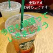 ヒメ日記 2025/05/07 08:26 投稿 まこ 新潟市鳥屋野潟ちゃんこ