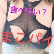 ヒメ日記 2025/05/07 15:26 投稿 まこ 新潟市鳥屋野潟ちゃんこ