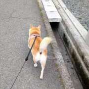 ヒメ日記 2025/05/16 05:36 投稿 まこ 新潟市鳥屋野潟ちゃんこ