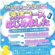 ヒメ日記 2025/07/12 10:46 投稿 まこ 新潟市鳥屋野潟ちゃんこ