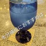 ヒメ日記 2025/07/29 14:18 投稿 まこ 新潟市鳥屋野潟ちゃんこ