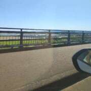 ヒメ日記 2025/07/31 19:16 投稿 まこ 新潟市鳥屋野潟ちゃんこ