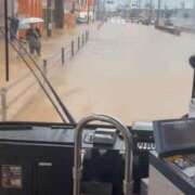 ヒメ日記 2025/08/11 13:42 投稿 まこ 新潟市鳥屋野潟ちゃんこ