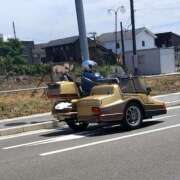 ヒメ日記 2025/08/17 12:07 投稿 まこ 新潟市鳥屋野潟ちゃんこ