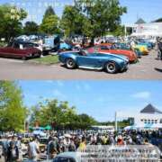 ヒメ日記 2025/08/30 11:03 投稿 まこ 新潟市鳥屋野潟ちゃんこ