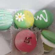 ヒメ日記 2025/09/03 13:16 投稿 まこ 新潟市鳥屋野潟ちゃんこ