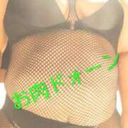 ヒメ日記 2025/11/13 02:11 投稿 まこ 新潟市鳥屋野潟ちゃんこ