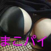 ヒメ日記 2025/11/19 18:16 投稿 まこ 新潟市鳥屋野潟ちゃんこ