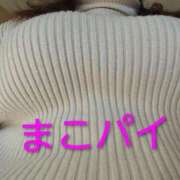 ヒメ日記 2025/11/30 12:26 投稿 まこ 新潟市鳥屋野潟ちゃんこ