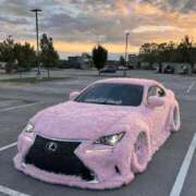 ヒメ日記 2026/01/06 11:26 投稿 まこ 新潟市鳥屋野潟ちゃんこ