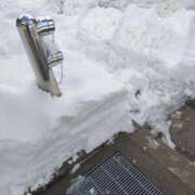 ヒメ日記 2026/01/25 14:16 投稿 まこ 新潟市鳥屋野潟ちゃんこ