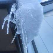 ヒメ日記 2026/01/27 09:16 投稿 まこ 新潟市鳥屋野潟ちゃんこ