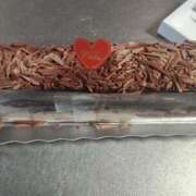 ヒメ日記 2026/02/19 12:46 投稿 まこ 新潟市鳥屋野潟ちゃんこ