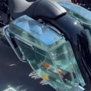 ヒメ日記 2026/03/13 10:46 投稿 まこ 新潟市鳥屋野潟ちゃんこ