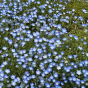 ヒメ日記 2025/05/07 12:54 投稿 りん ちゃんこ東大阪 布施・長田店