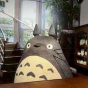 ヒメ日記 2025/05/30 19:37 投稿 りん ちゃんこ東大阪 布施・長田店