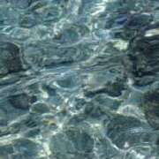 ヒメ日記 2025/07/17 12:17 投稿 こゆ 千葉サンキュー