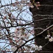 みゆき♡反則級「Ｉ」乳カップ お花見🌸すませた！ ラヴァーズ