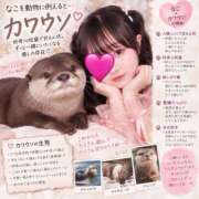ヒメ日記 2026/09/17 10:44 投稿 なこ ラブボート（Love Boat）