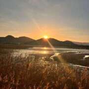 ヒメ日記 2025/01/01 08:50 投稿 あすか【ディプロマ保持者】 天空のマット