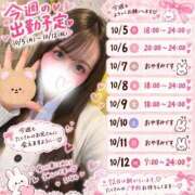 ひなの 今週のひなの、捕まえてね🐰💗 2980円