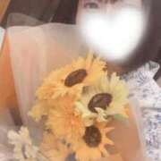 ヒメ日記 2025/02/12 08:03 投稿 いちご Profile～プロフィール～（那覇）