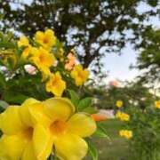 ヒメ日記 2026/07/28 15:42 投稿 ひまり Profile～プロフィール～（那覇）