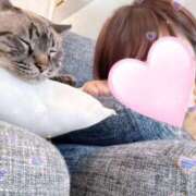 ヒメ日記 2025/03/26 14:18 投稿 ひな Profile～プロフィール～（那覇）