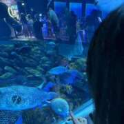 ヒメ日記 2025/09/15 20:24 投稿 ひな Profile～プロフィール～（那覇）