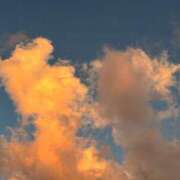 ヒメ日記 2025/10/14 15:54 投稿 ひな Profile～プロフィール～（那覇）