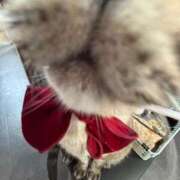 ひな クリスマスプレゼントは💋💕 Profile～プロフィール～（那覇）