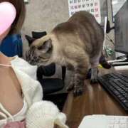 ヒメ日記 2026/03/10 12:42 投稿 ひな Profile～プロフィール～（那覇）