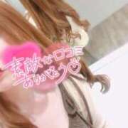 ヒメ日記 2025/03/19 20:19 投稿 なつね Profile～プロフィール～（那覇）