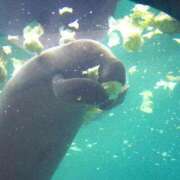 ヒメ日記 2025/11/16 23:19 投稿 なつね Profile～プロフィール～（那覇）