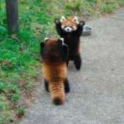 ヒメ日記 2024/12/13 16:38 投稿 あすみ 制服向上委員会