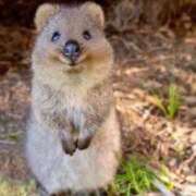 ヒメ日記 2024/12/14 10:46 投稿 あすみ 制服向上委員会