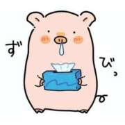 ヒメ日記 2024/12/17 14:50 投稿 あすみ 制服向上委員会